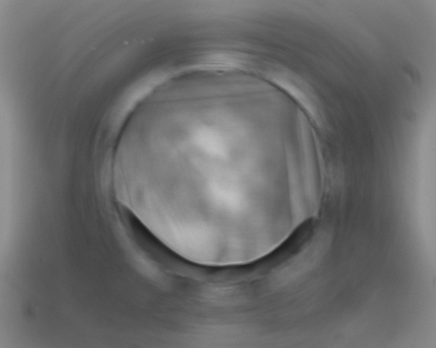 X0000113591477200910161832