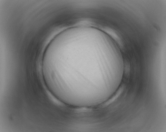 X0000113591478200910161832