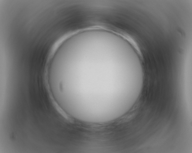 X0000113591480200910161831