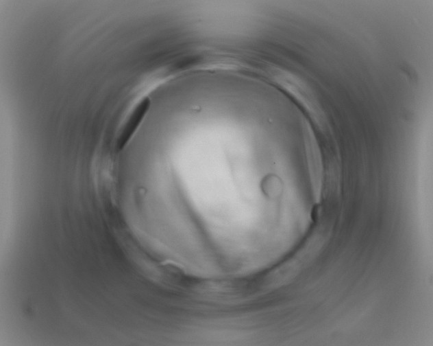 X0000113591481200910161831