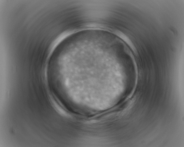 X0000113591482200910161831