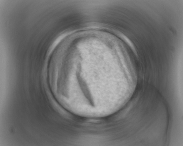 X0000113591483200910161831