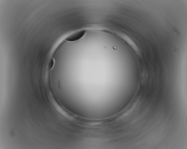X0000113591484200910161831
