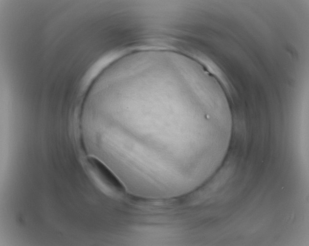 X0000113591485200910161831