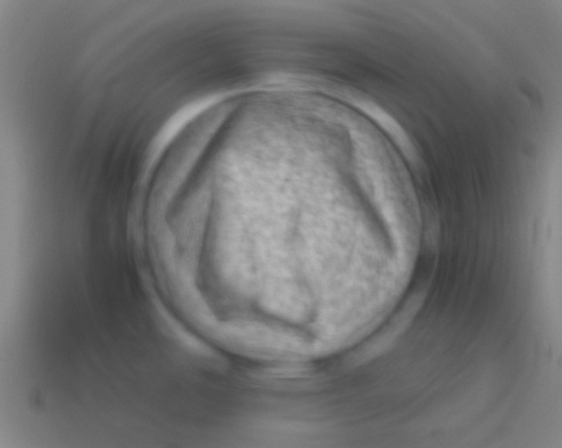 X0000113591486200910161831