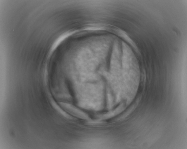 X0000113591487200910161831