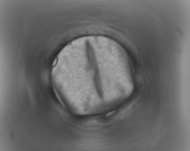 X0000113591490200910161831