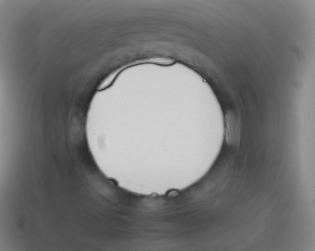 X0000113591491200910161831