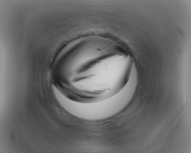X0000113591492200910161831