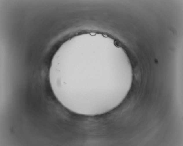 X0000113591495200910161831