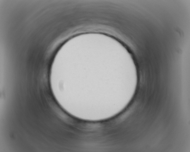 X0000113591498200910161831