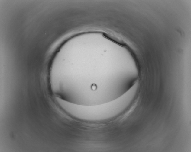 X0000113591502200910161831
