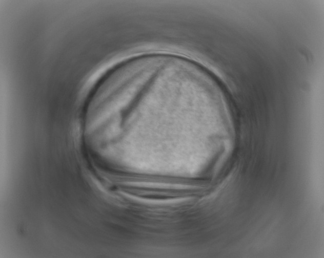 X0000113591503200910161831