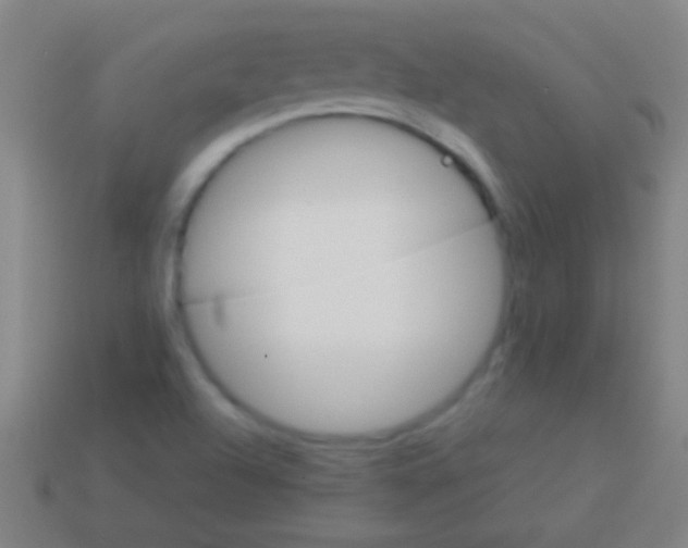 X0000113591504200910161831