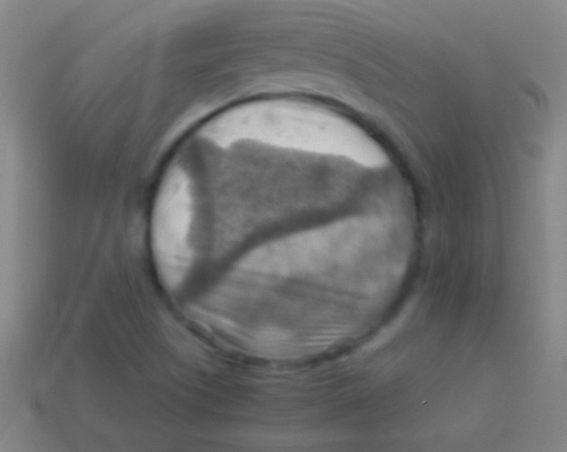 X0000113591505200910161831