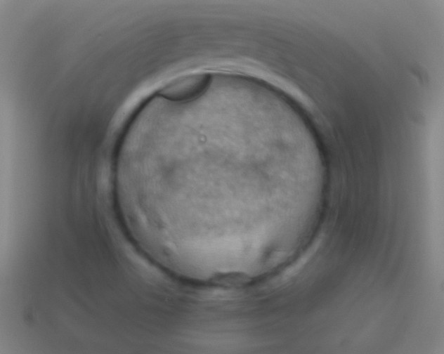 X0000113591506200910161831