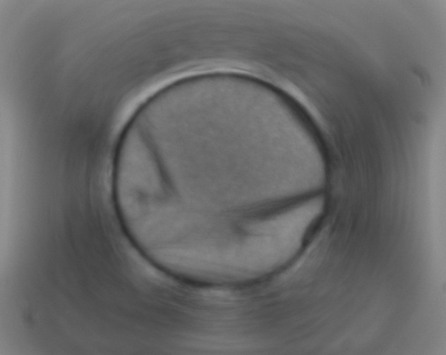 X0000113591508200910161831