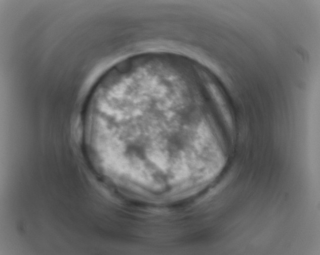 X0000113591509200910161831