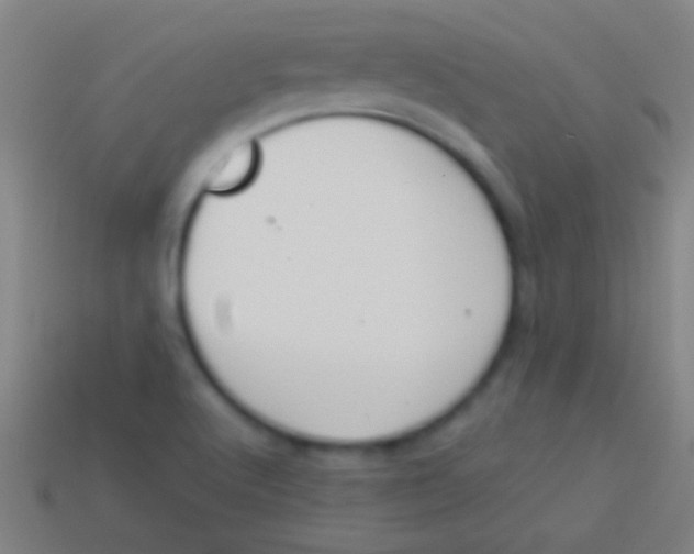 X0000113591512200910161831