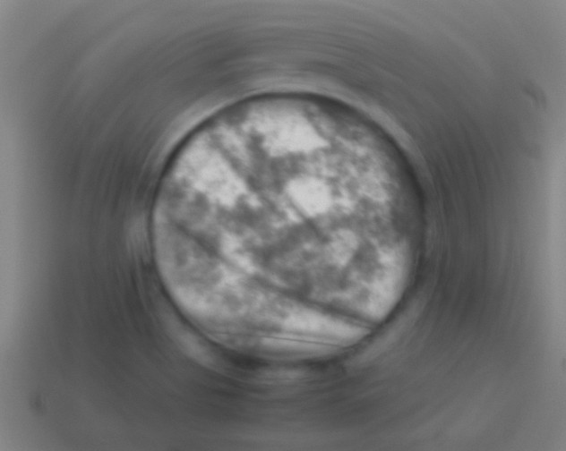 X0000113591513200910161831