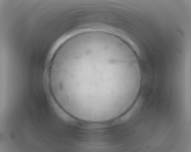 X0000113591514200910161831