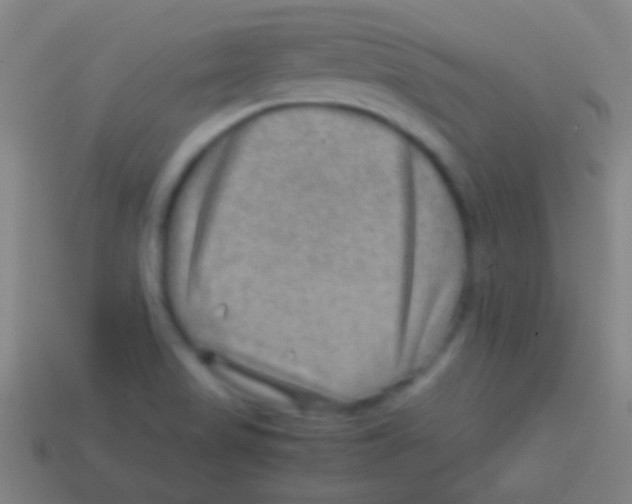 X0000113591517200910161831