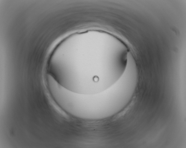 X0000113591518200910161831