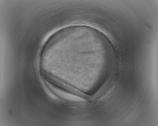 X0000113591519200910161831
