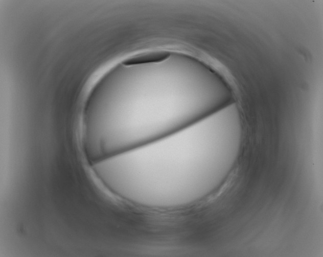 X0000113591520200910161831