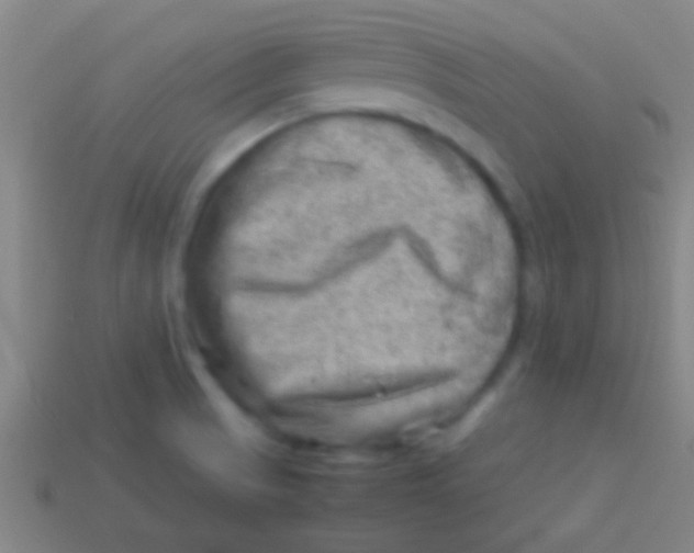 X0000113591521200910161831
