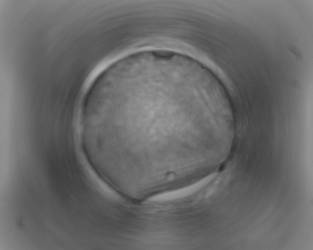 X0000113591522200910161831