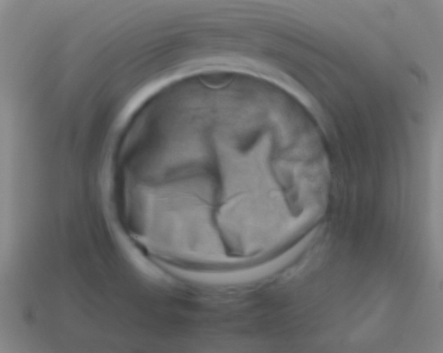 X0000113591523200910161831