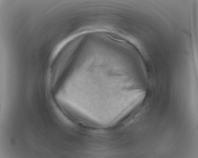 X0000113591524200910161831