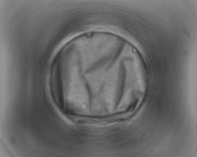 X0000113591525200910161831