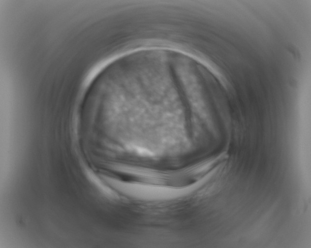 X0000113591527200910161831