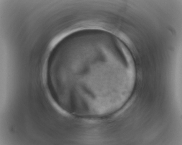 X0000113591528200910161831