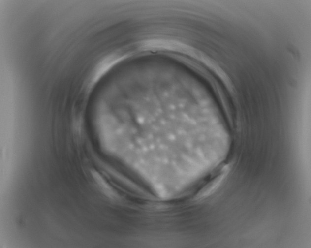 X0000113591529200910161831