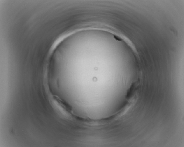 X0000113591530200910161831