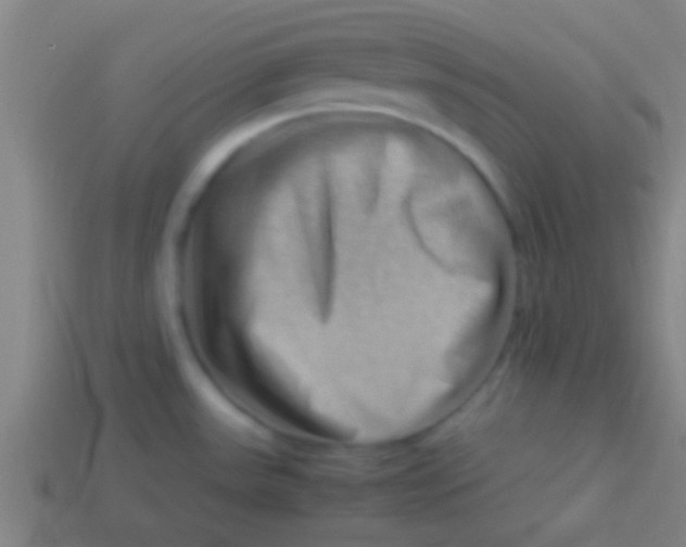 X0000113591531200910161831