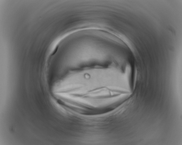 X0000113591532200910161831