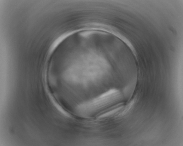 X0000113591533200910161831