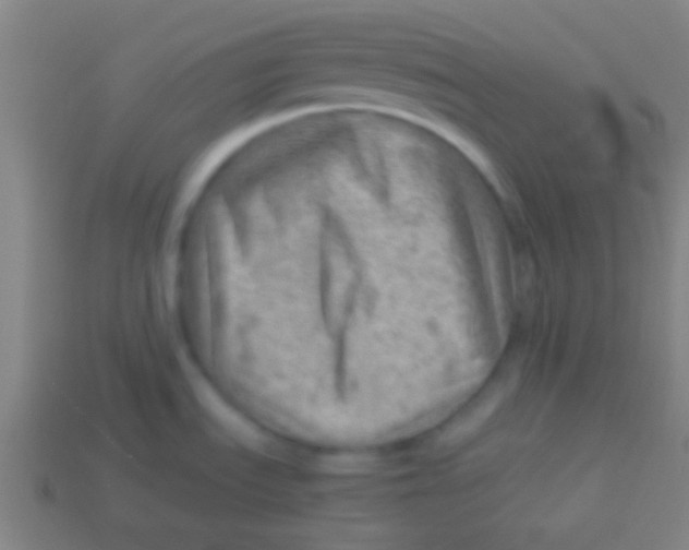 X0000113591535200910161831