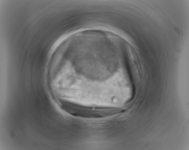 X0000113591536200910161831
