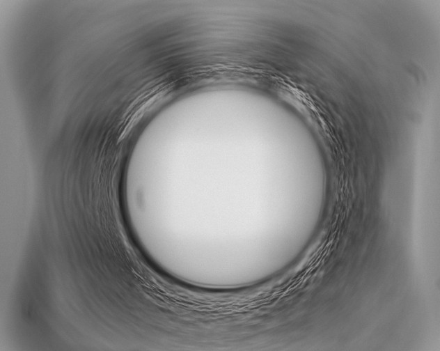 X0000113600001200909181119