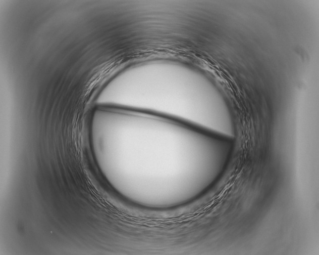 X0000113600002200909181119