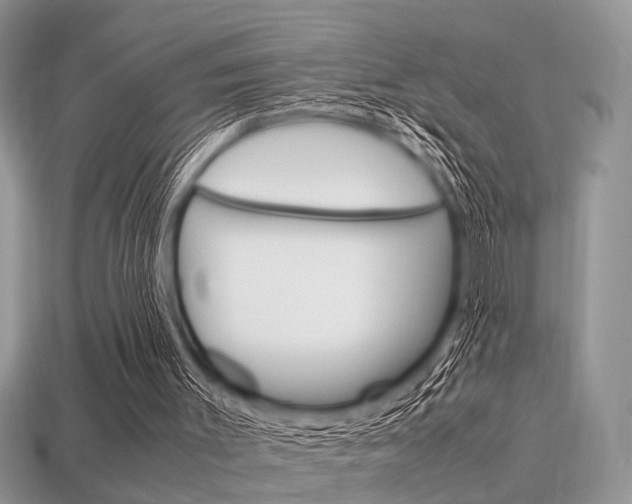 X0000113600003200909181119