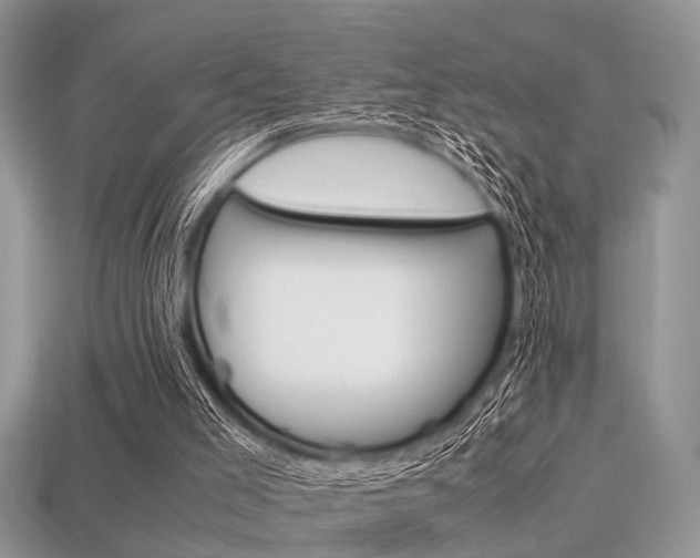 X0000113600005200909181119