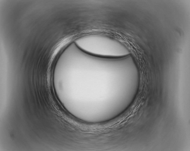 X0000113600006200909181119