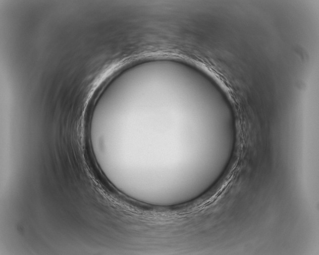 X0000113600008200909181119