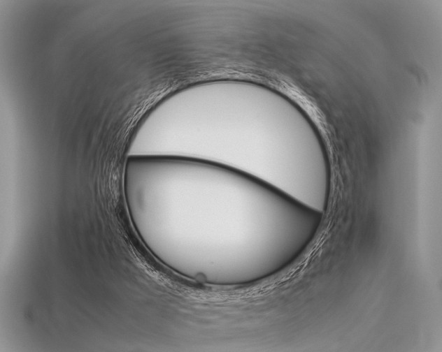 X0000113600009200909181119